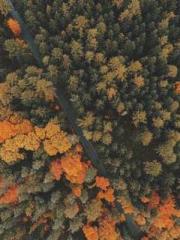 A Wifeapos;s Plea fo