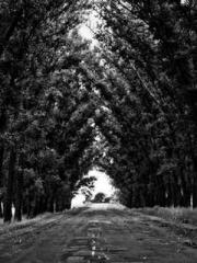 Bodhisattva of Compa