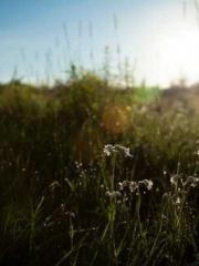 A Second Marriage Mo