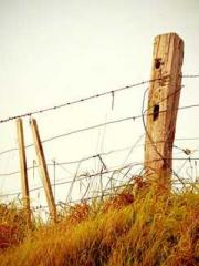 The Legend of the Dr