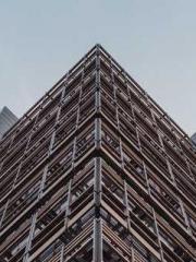 King of the Nine Pro