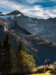 The Rough Man Hunter