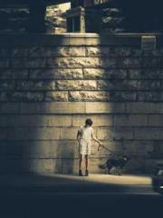 lt;Mr. Bao, Mrs. Bao