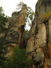 The Realm of the Dao