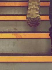 The Heavenly Physici