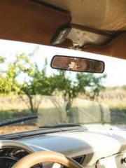 The young masterapos