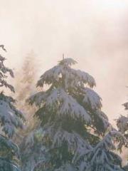 lt;Honor calls for N