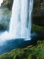 The Return of the Su