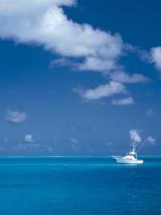 Shen Ning Ran Bo Jin