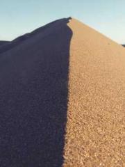 A Lifetime of Captiv