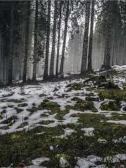 A Heavenly Gift: The