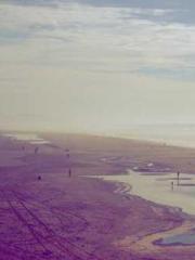 One Pregnancy, Two B