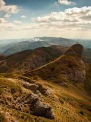 After the Divorce, I